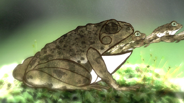 Frogs, Ecosystems & Cloning