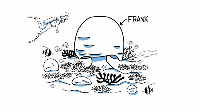 SCINEMA: Coral Bleaching Explained: the story of Frank the coral