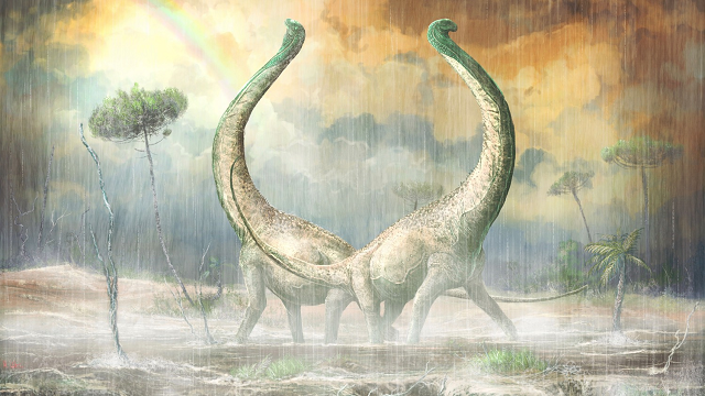 New titanosaur fossil sheds light on dino evolution