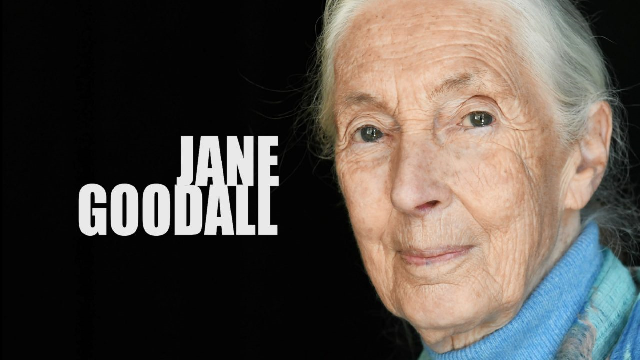 Tutorial: Jane Goodall on the Environment