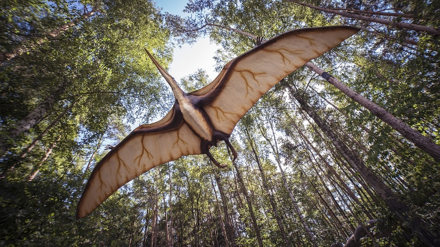 A new ‘iron dragon’ pterosaur