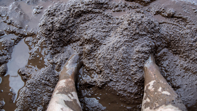 Pain relief may be found in the mud