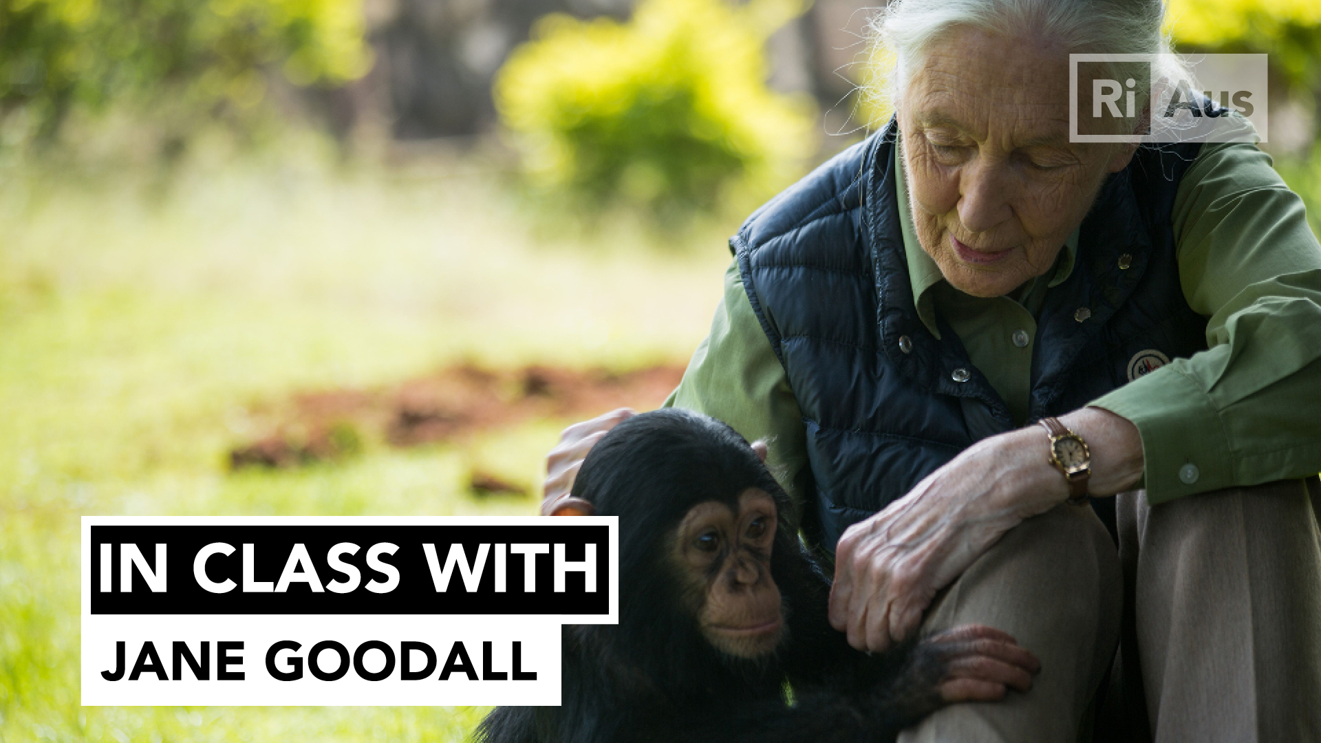 In Class With… Jane Goodall