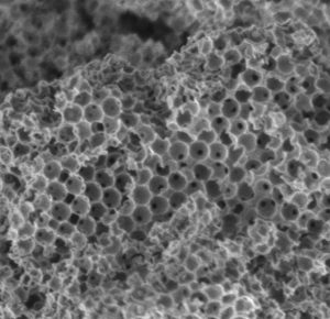 Porous surface under microscope