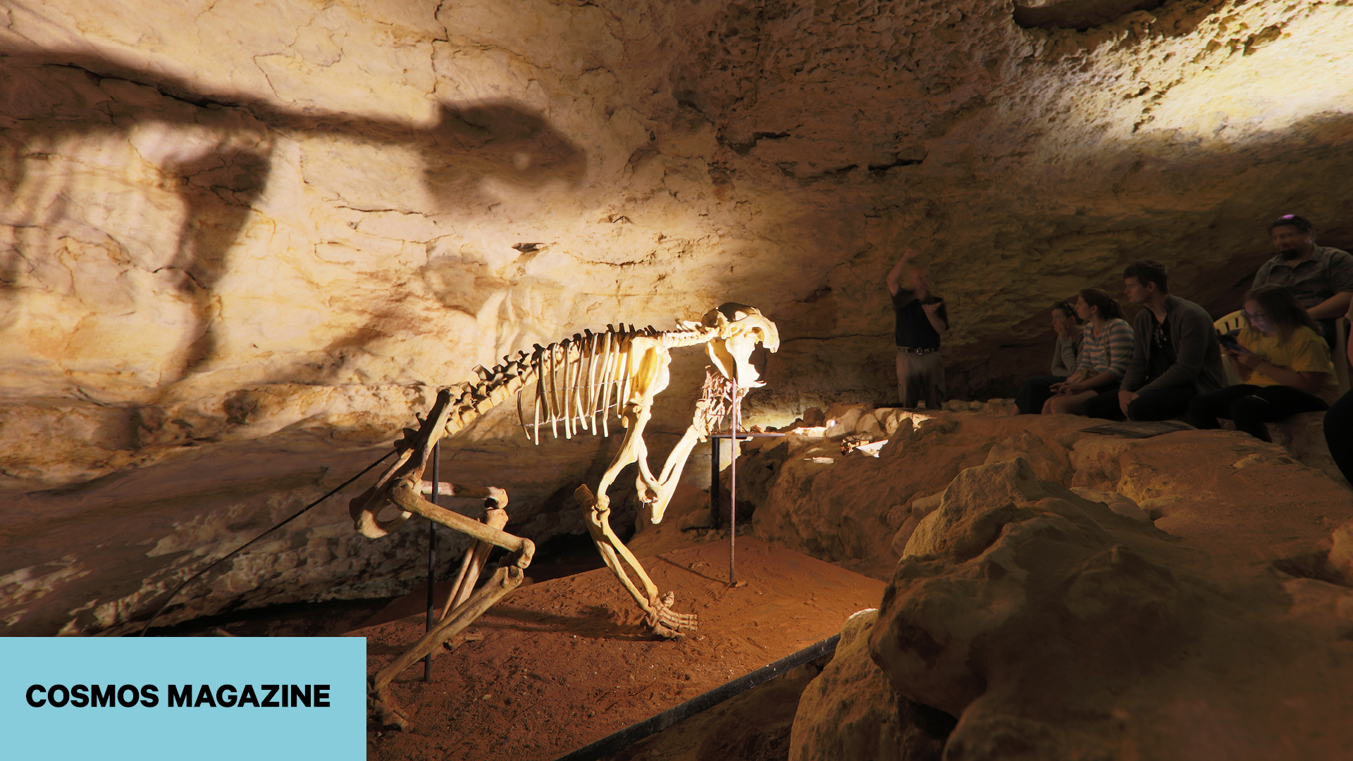 COSMOS MAGAZINE – Naracoorte Caves: A rolls-royce record of biodiversity
