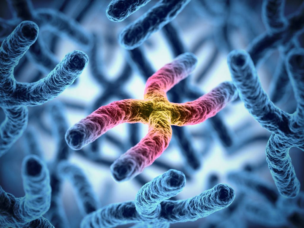 3D illustration of chromosomes