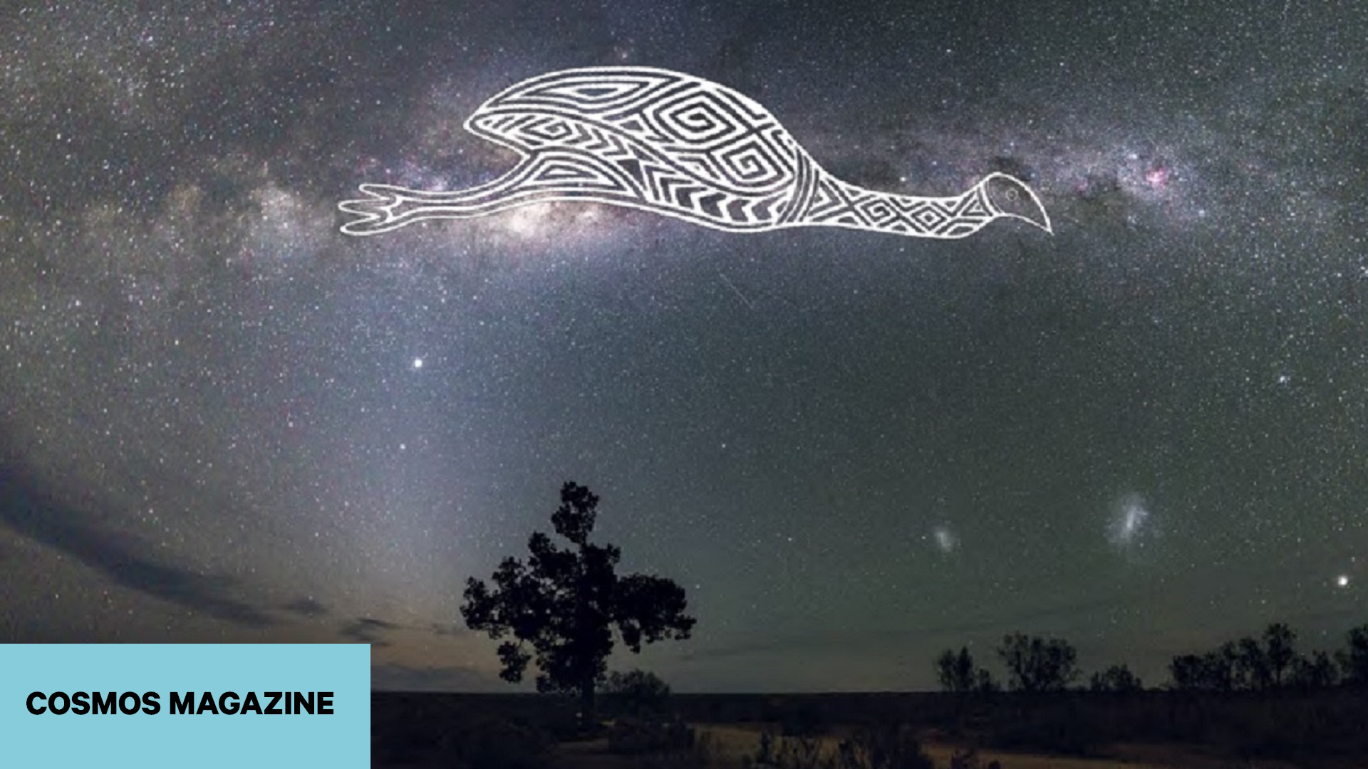 COSMOS Magazine: Learning the Star Knowledge of First Australians