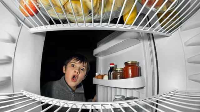Child looking in the fridge freezer