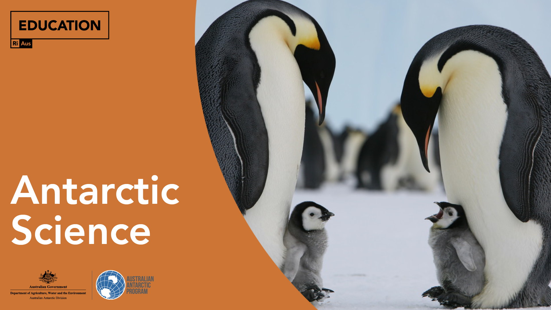 Antarctic Science with the Australian Antarctic Program