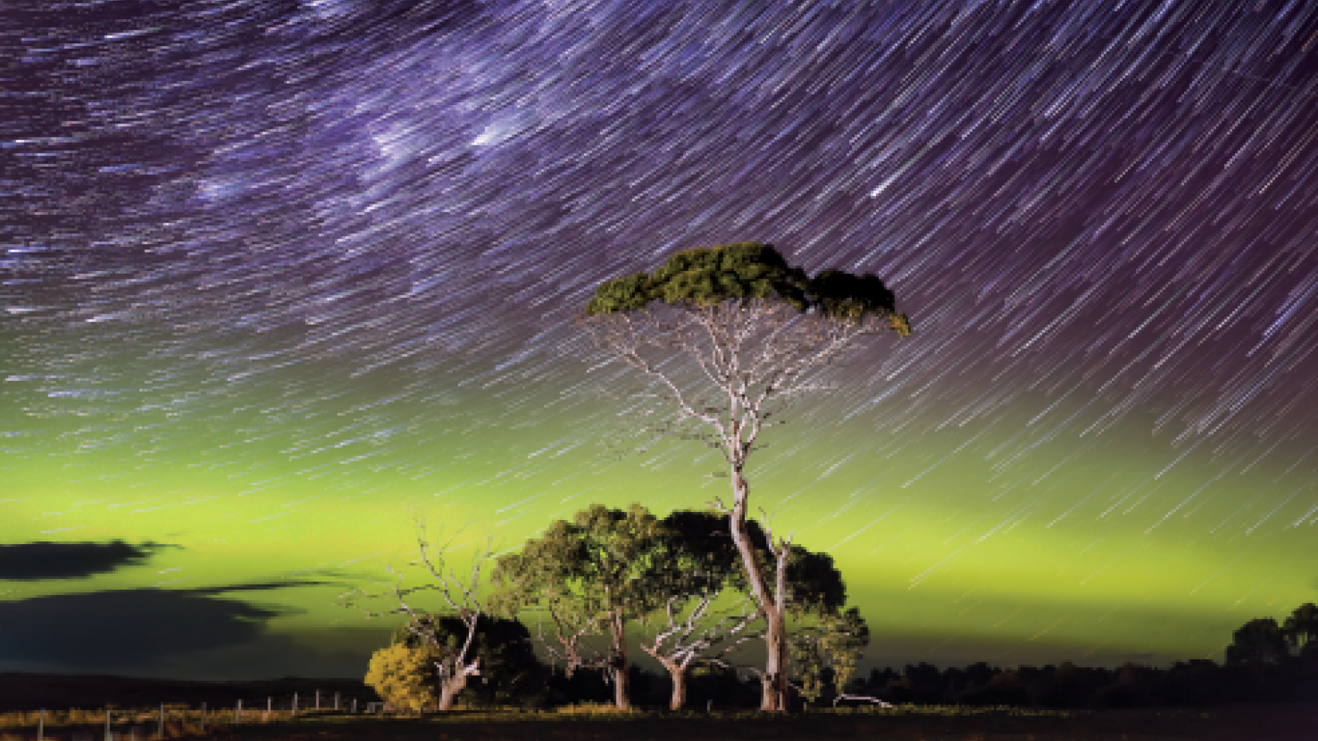 Star Trails over a bright green arc of aurora with an illuminated tree in the foreground Comet style star trail image with a bright green band of the Aurora Australis or Southern Lights arcing across the image with some illuminated trees in the foreground.