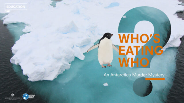 Who’s Eating Who: An Antarctic Murder Mystery