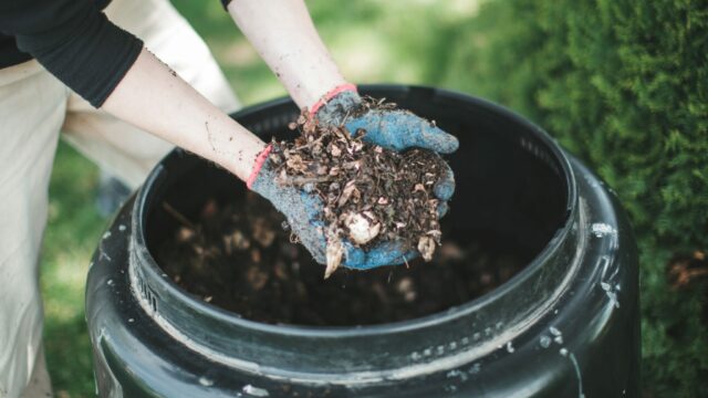 It’s National Compost Week! Here’s everything you need to know about food waste