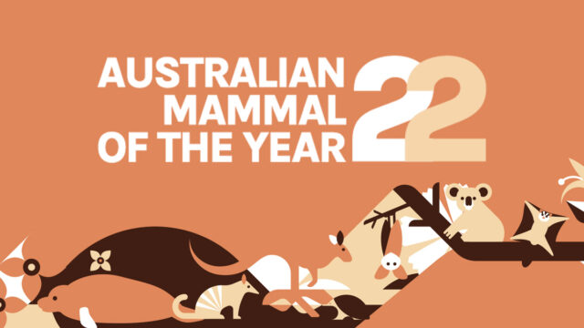 Australian Mammal of the Year 2022 Voting