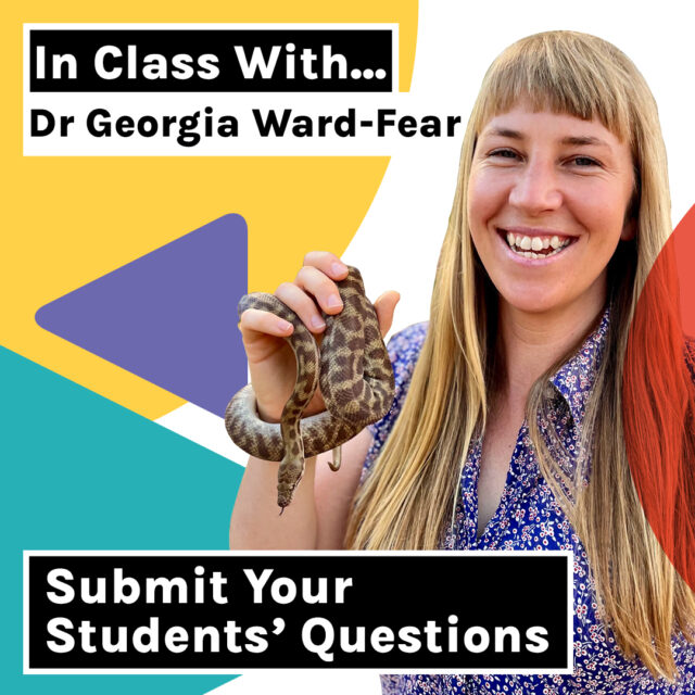 Coming Up: In Class With… Dr Georgia Ward-Fear