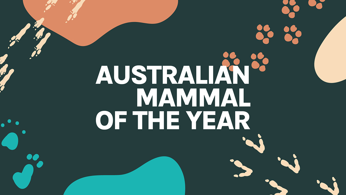2023 Australian Mammal of the Year