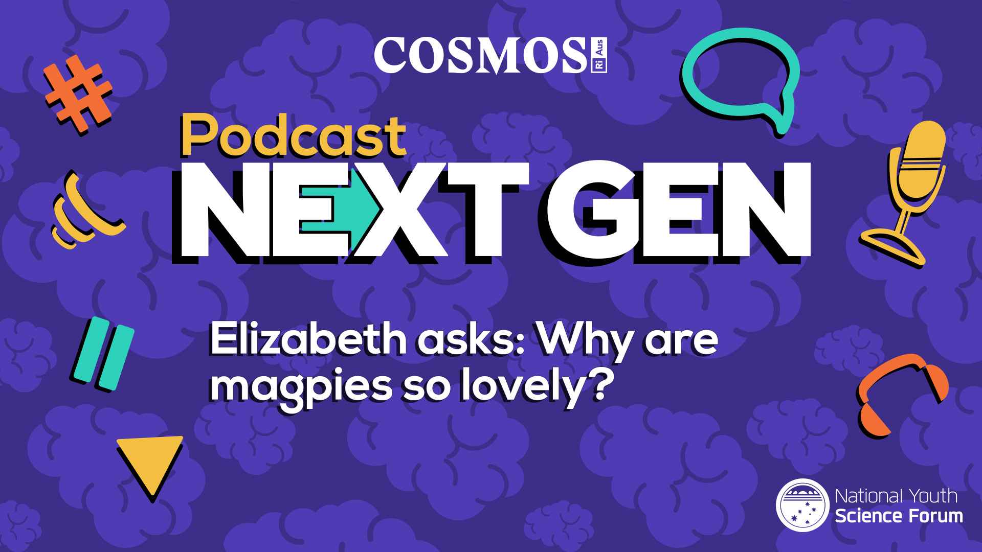 PODCAST NEXT GEN: Why are magpies so lovely?