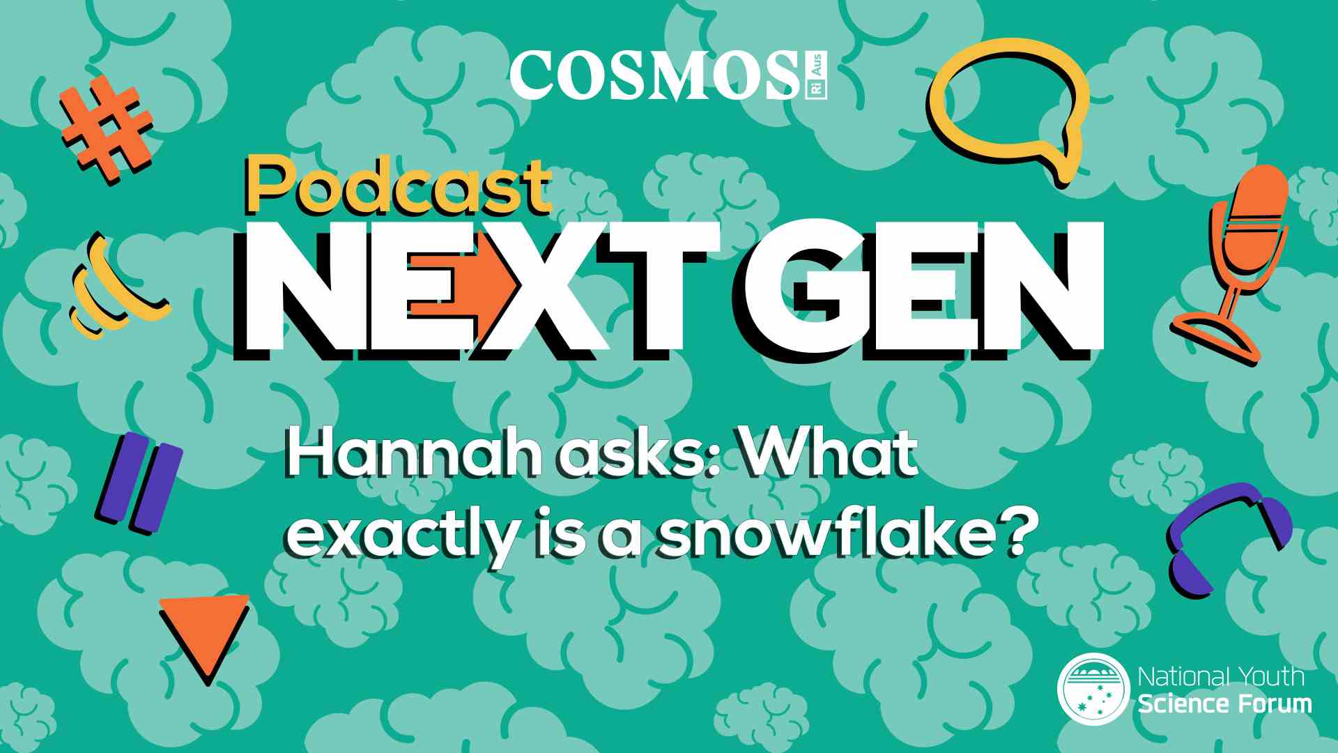 PODCAST NEXT GEN: What exactly is a snowflake?