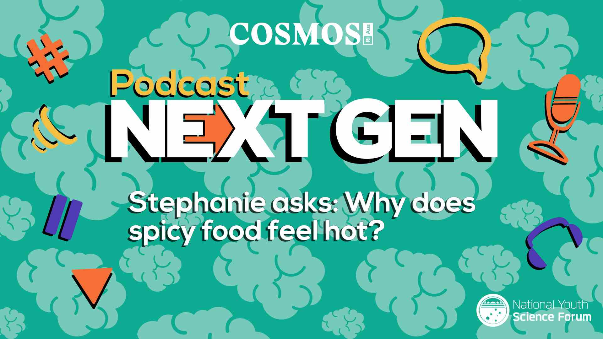 PODCAST NEXT GEN: Why does spicy food feel hot?